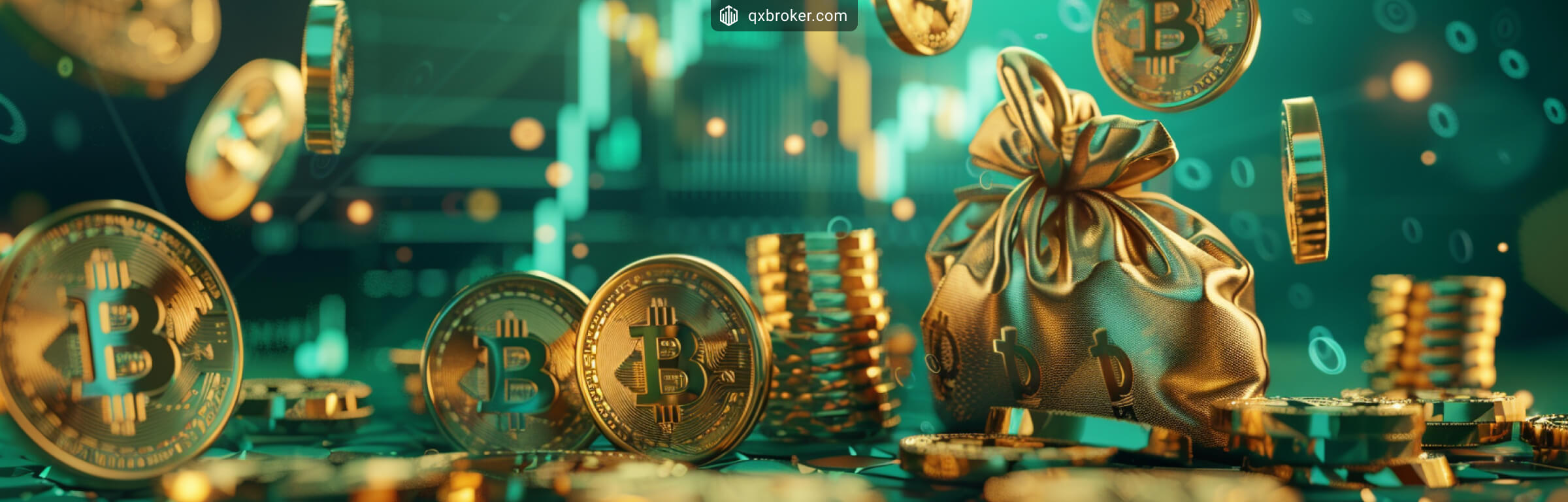 New Educational Resources Added to QX Academy